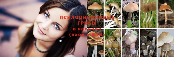 гидропоника Беломорск