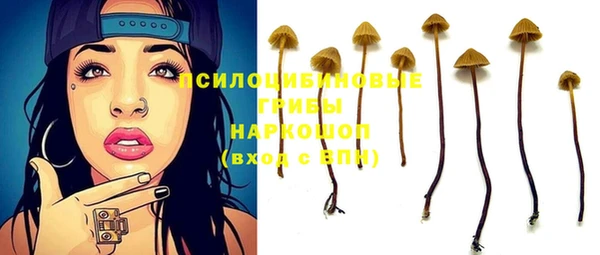 соль ск Белоозёрский