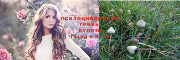 кристаллы Белокуриха