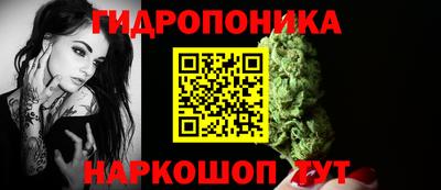 гидра Берёзовский