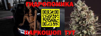 твердый Бийск