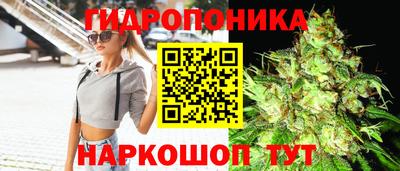 apvp Заволжье
