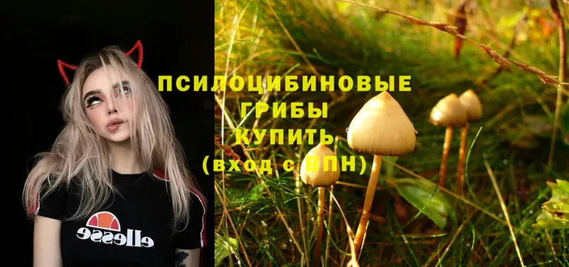 Галлюциногенные грибы MAGIC MUSHROOMS  дарк нет наркотические препараты  Бутурлиновка 