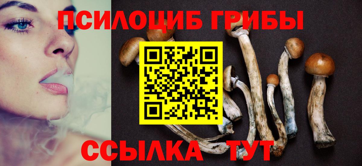 Псилоцибиновые грибы GOLDEN TEACHER  Вход с VPN  Галлюциногенные грибы MAGIC MUSHROOMS  Бутурлиновка 