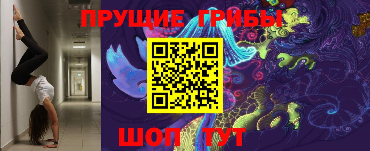 Псилоцибиновые грибы мицелий Бутурлиновка